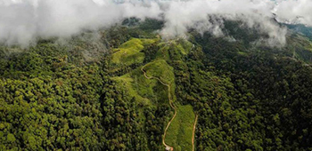 Sinharaja Rain Forest