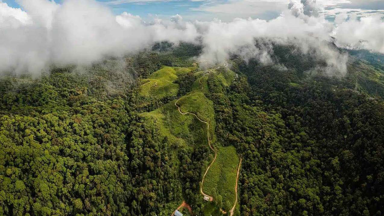 Sinharaja Rain Forest (UNESCO) & Eco 3-Day Tour with Hotel