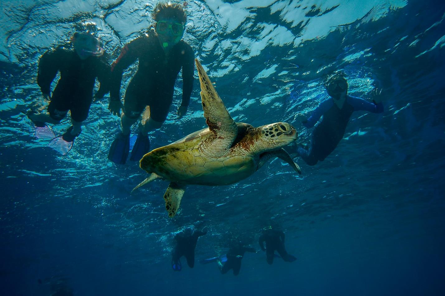 Pasikuda: 2-day diving with accommodation